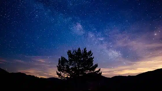 découvrez l'impact de la pollution sonore dans le vercors, un écosystème unique menacé par le bruit. analyse des conséquences sur la faune, la flore et la qualité de vie des habitants. sensibilisez-vous à la préservation de cet environnement naturel.