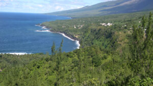 découvrez les initiatives et actions pour la préservation des paysages réunionnais, un patrimoine naturel unique. engagez-vous pour protéger la biodiversité et les beautés de l'île de la réunion tout en favorisant un développement durable.